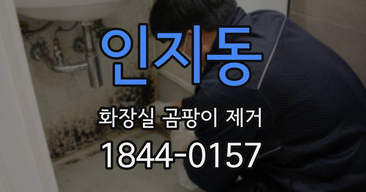 인지동 화장실 곰팡이 제거