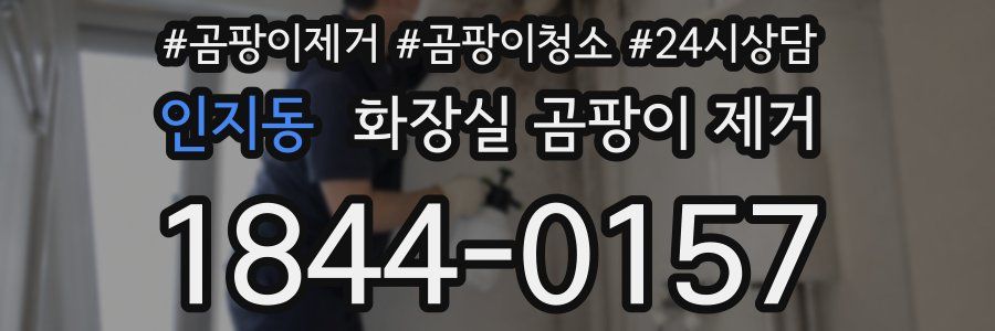 인지동 화장실 곰팡이 제거