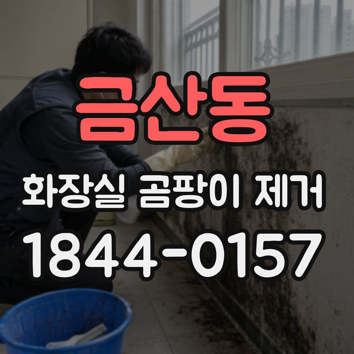 금산동 화장실 곰팡이 제거