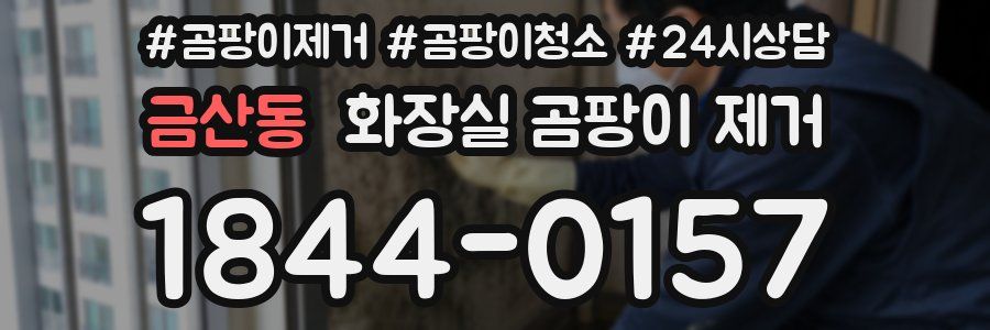 금산동 화장실 곰팡이 제거