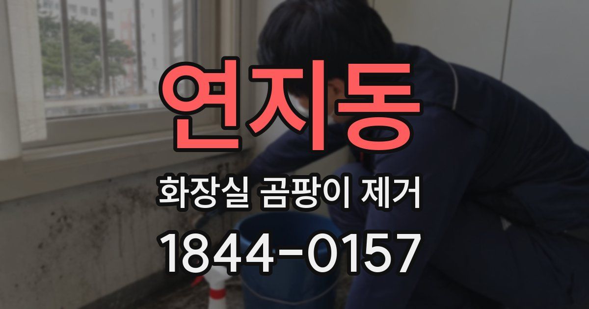 연지동 화장실 곰팡이 제거