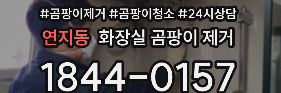 연지동 화장실 곰팡이 제거