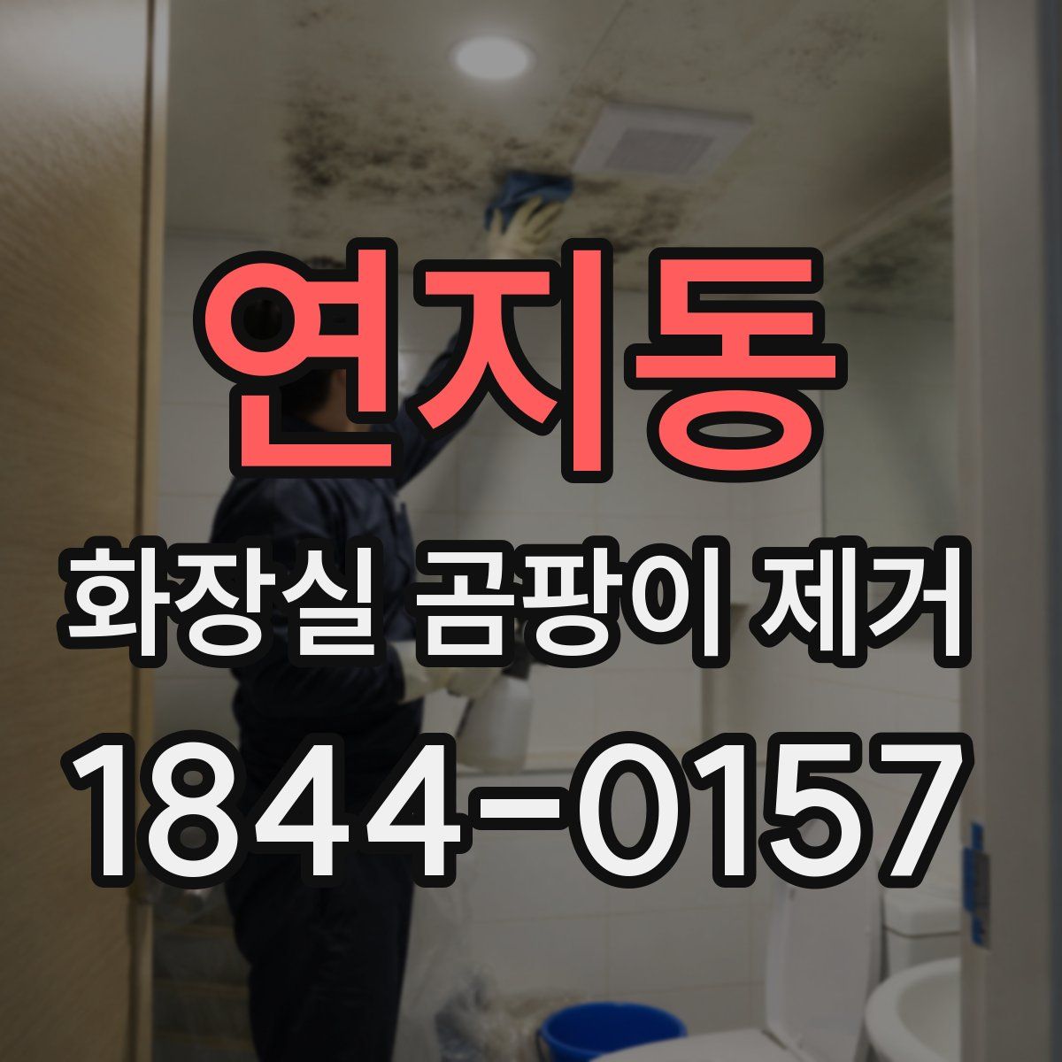 연지동 화장실 곰팡이 제거
