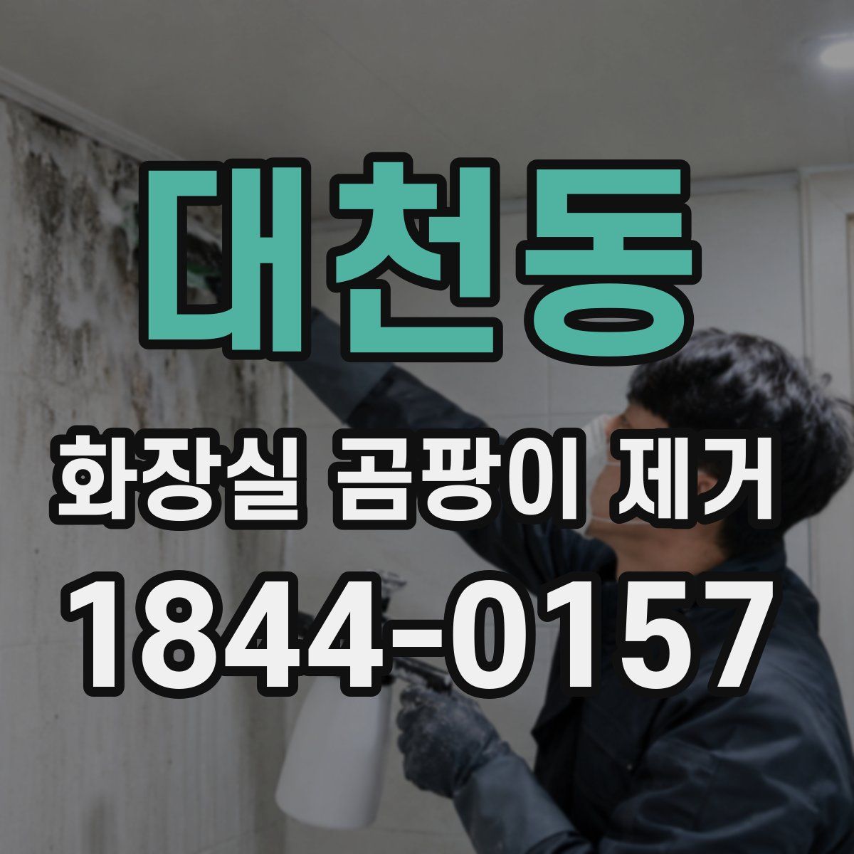 대천동 화장실 곰팡이 제거