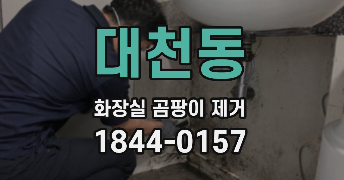 대천동 화장실 곰팡이 제거