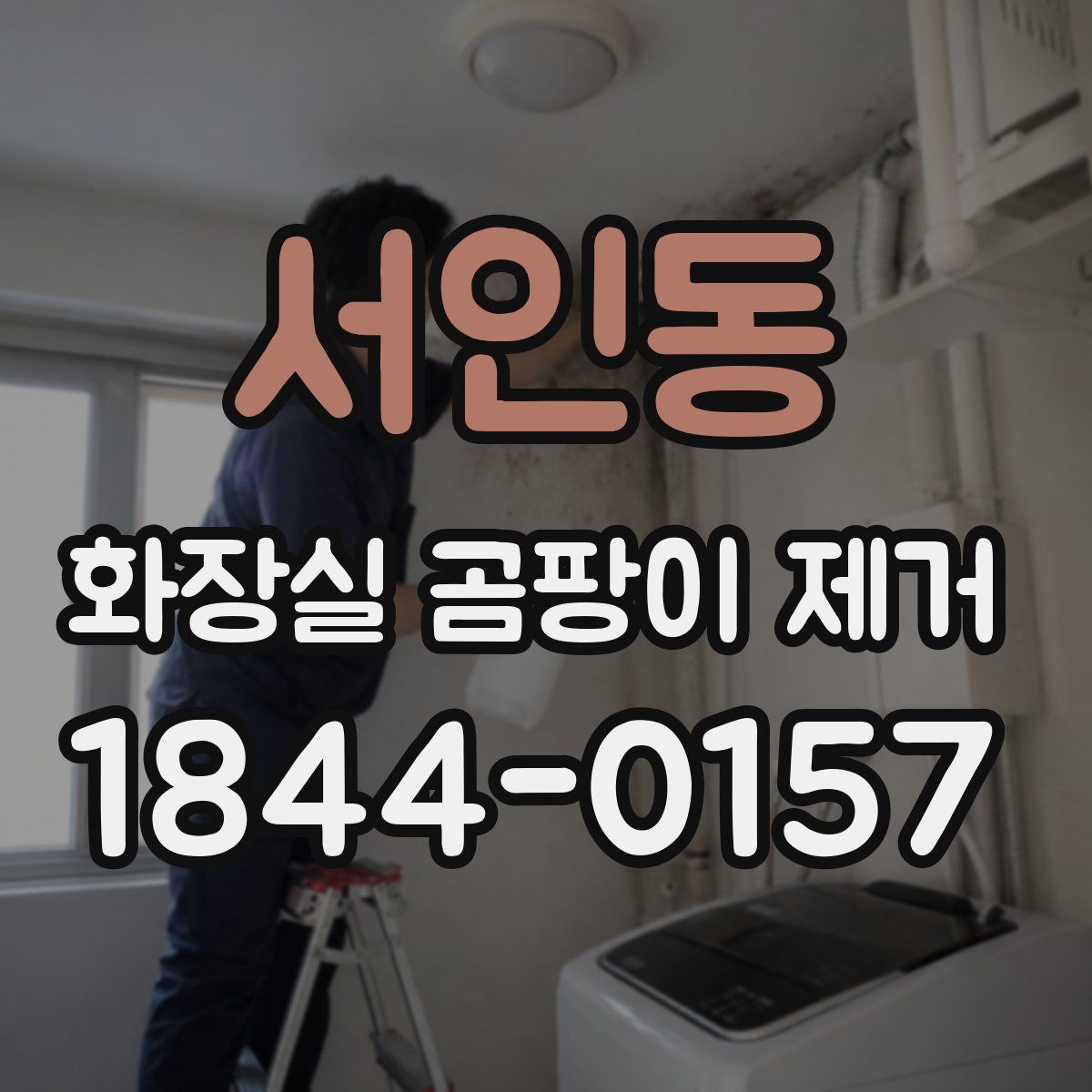서인동 화장실 곰팡이 제거