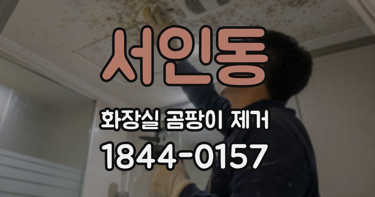 서인동 화장실 곰팡이 제거