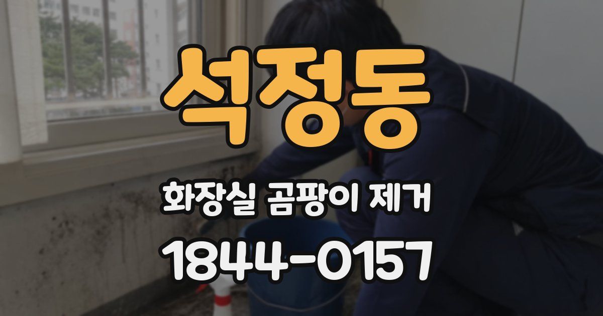 석정동 화장실 곰팡이 제거