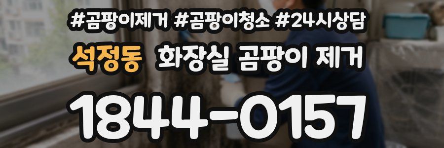 석정동 화장실 곰팡이 제거