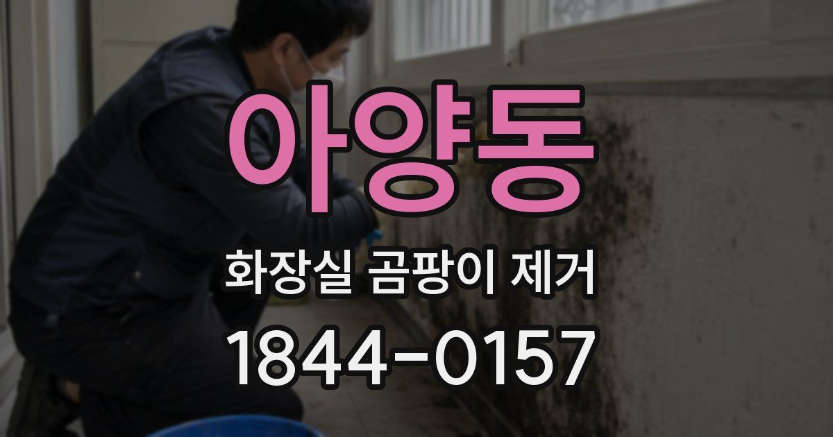 아양동 화장실 곰팡이 제거