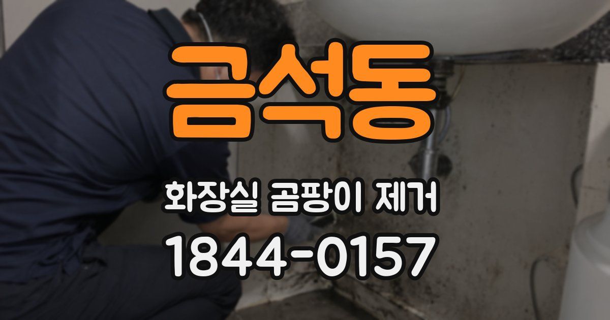 금석동 화장실 곰팡이 제거