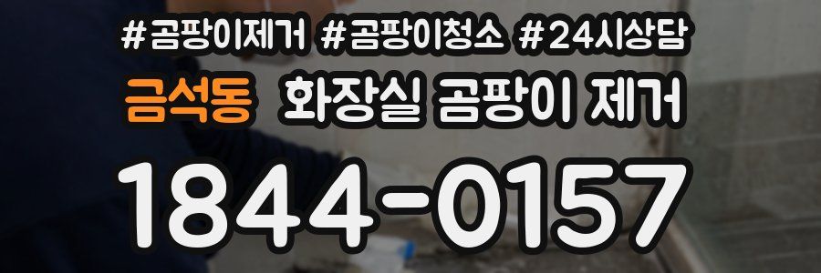 금석동 화장실 곰팡이 제거