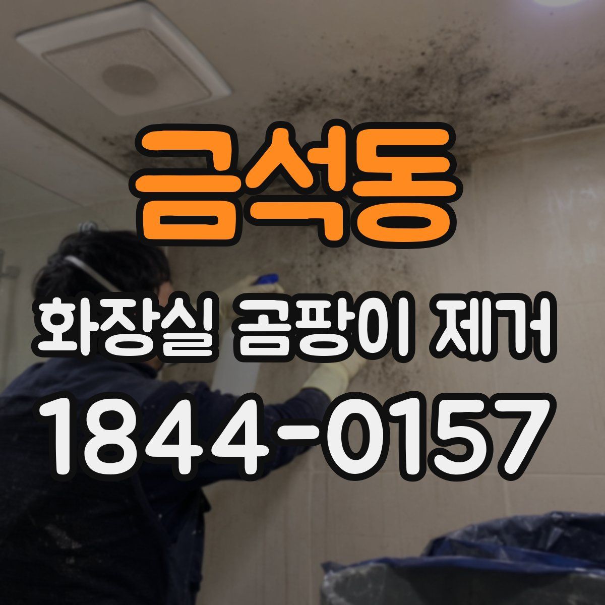 금석동 화장실 곰팡이 제거