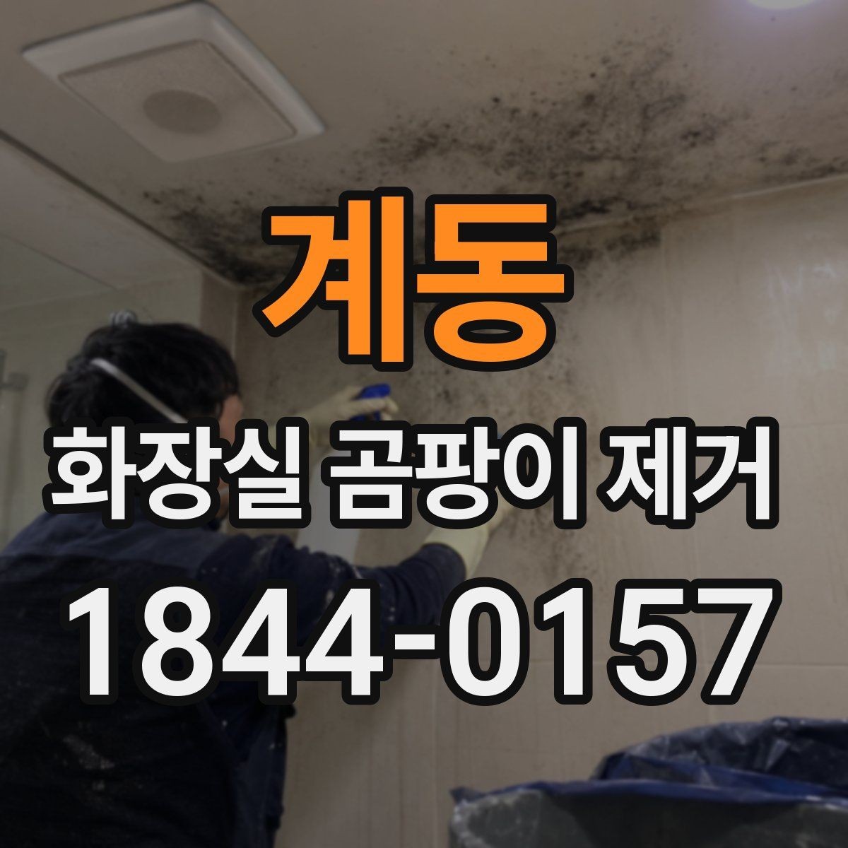 계동 화장실 곰팡이 제거 깊게 스며든 줄눈 오염 처리 순서