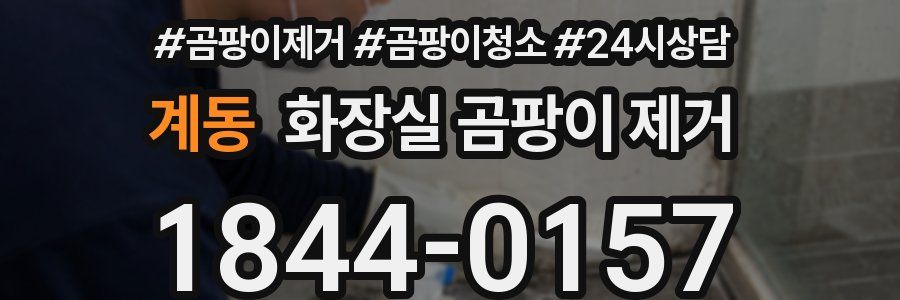 계동 화장실 곰팡이 제거