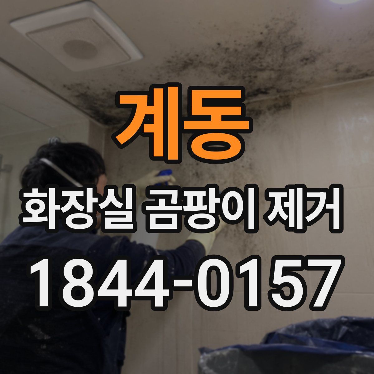 계동 화장실 곰팡이 제거