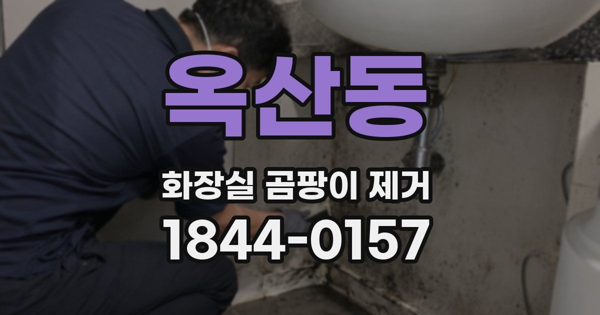 옥산동 화장실 곰팡이 제거