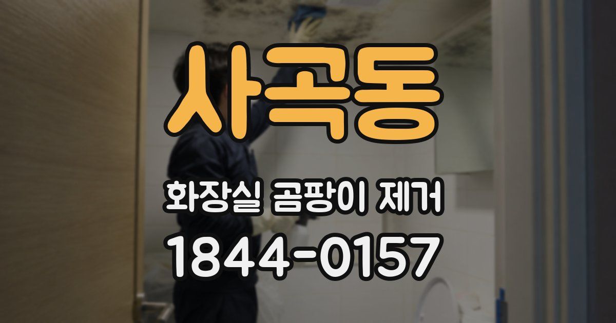 사곡동 화장실 곰팡이 제거