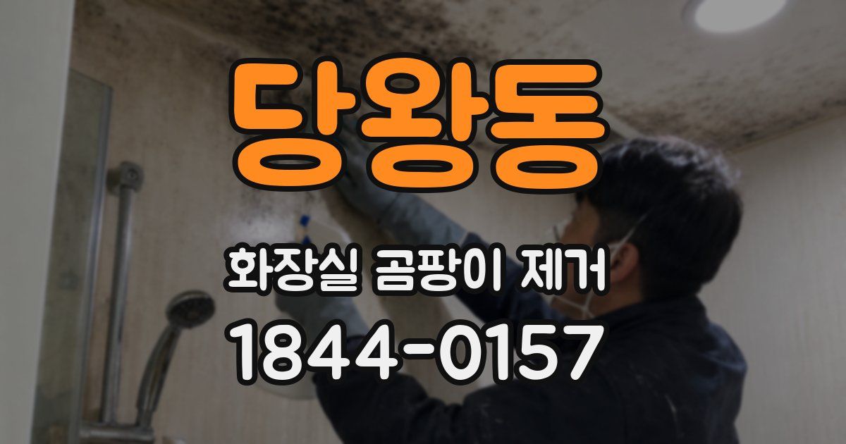 당왕동 화장실 곰팡이 제거