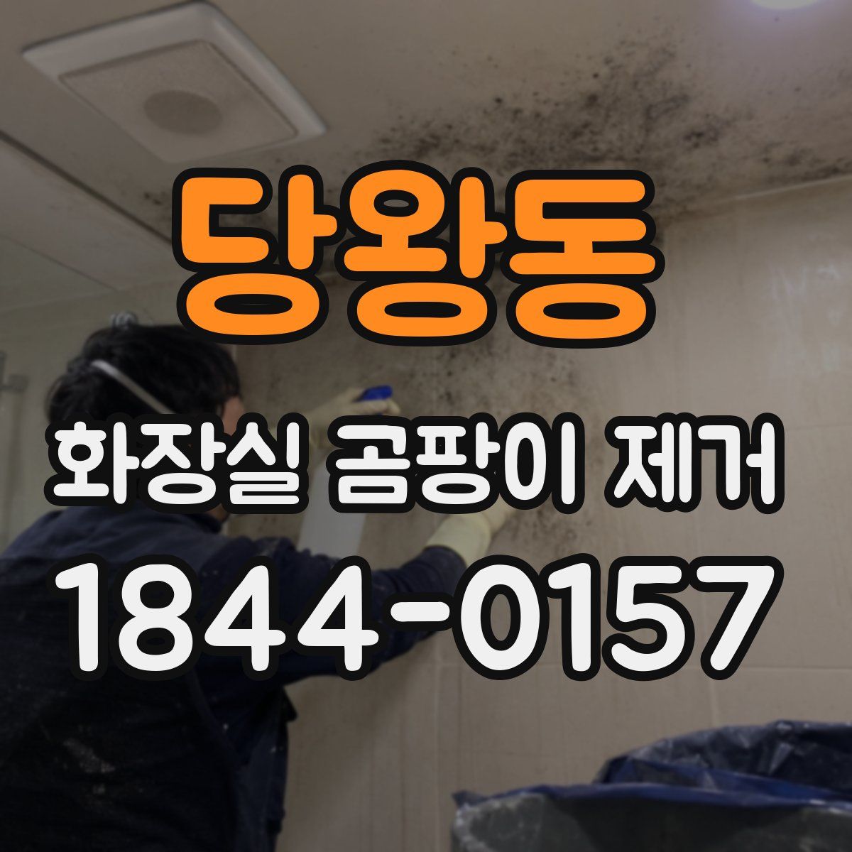 당왕동 화장실 곰팡이 제거