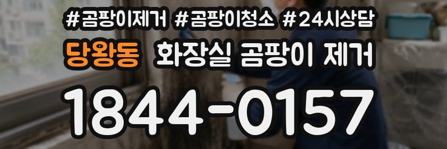 당왕동 화장실 곰팡이 제거