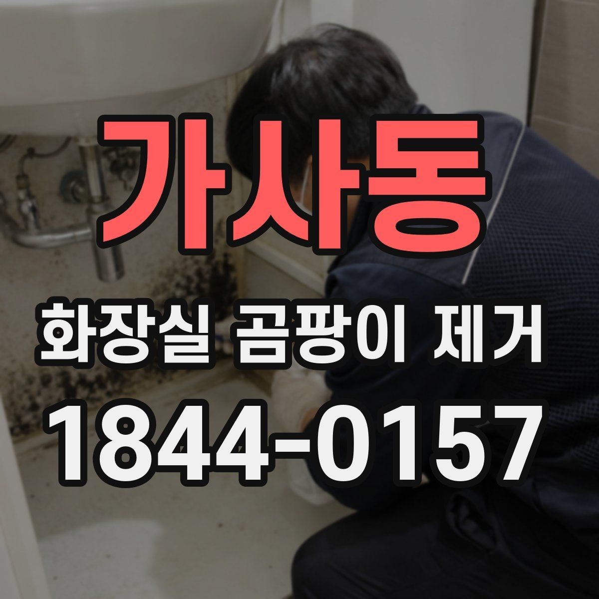 가사동 화장실 곰팡이 제거 줄눈 손상 여부를 함께 점검하는 기준