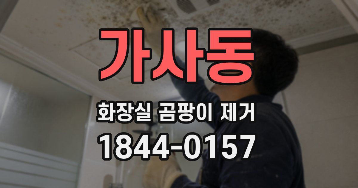 가사동 화장실 곰팡이 제거