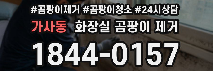 가사동 화장실 곰팡이 제거