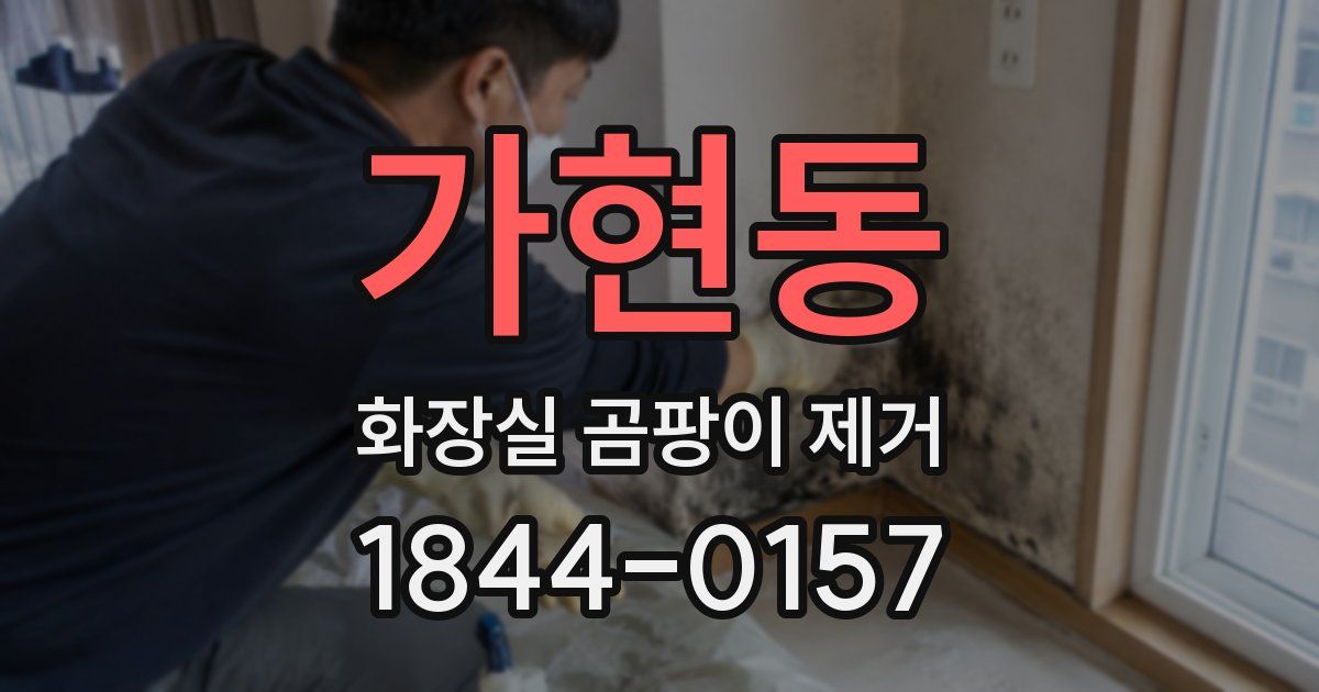 가현동 화장실 곰팡이 제거