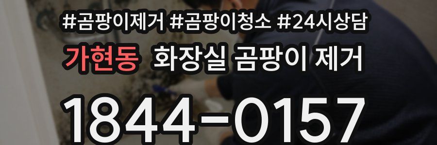 가현동 화장실 곰팡이 제거
