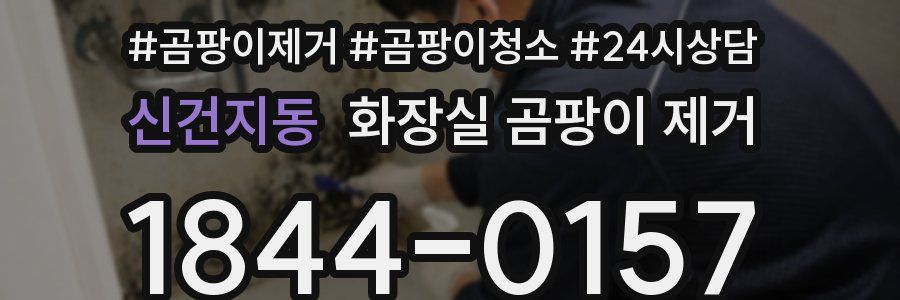 신건지동 화장실 곰팡이 제거