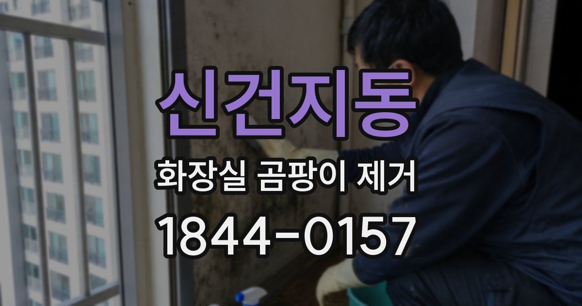 신건지동 화장실 곰팡이 제거