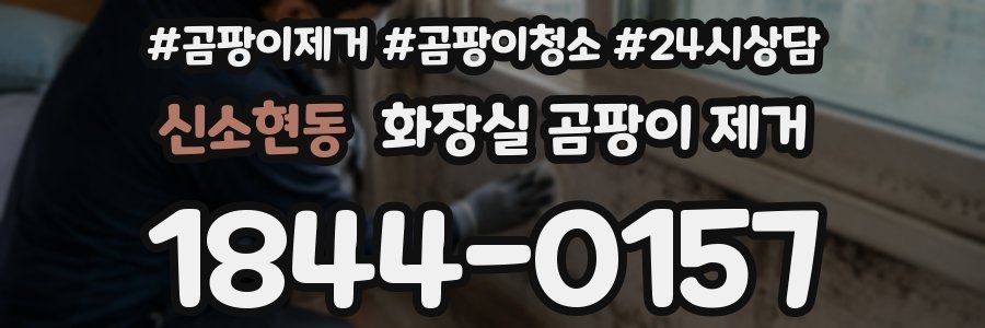 신소현동 화장실 곰팡이 제거