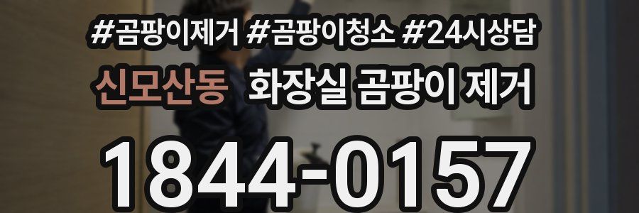 신모산동 화장실 곰팡이 제거