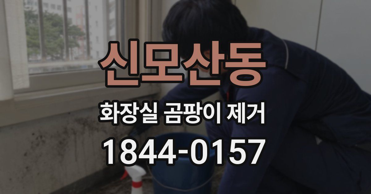 신모산동 화장실 곰팡이 제거