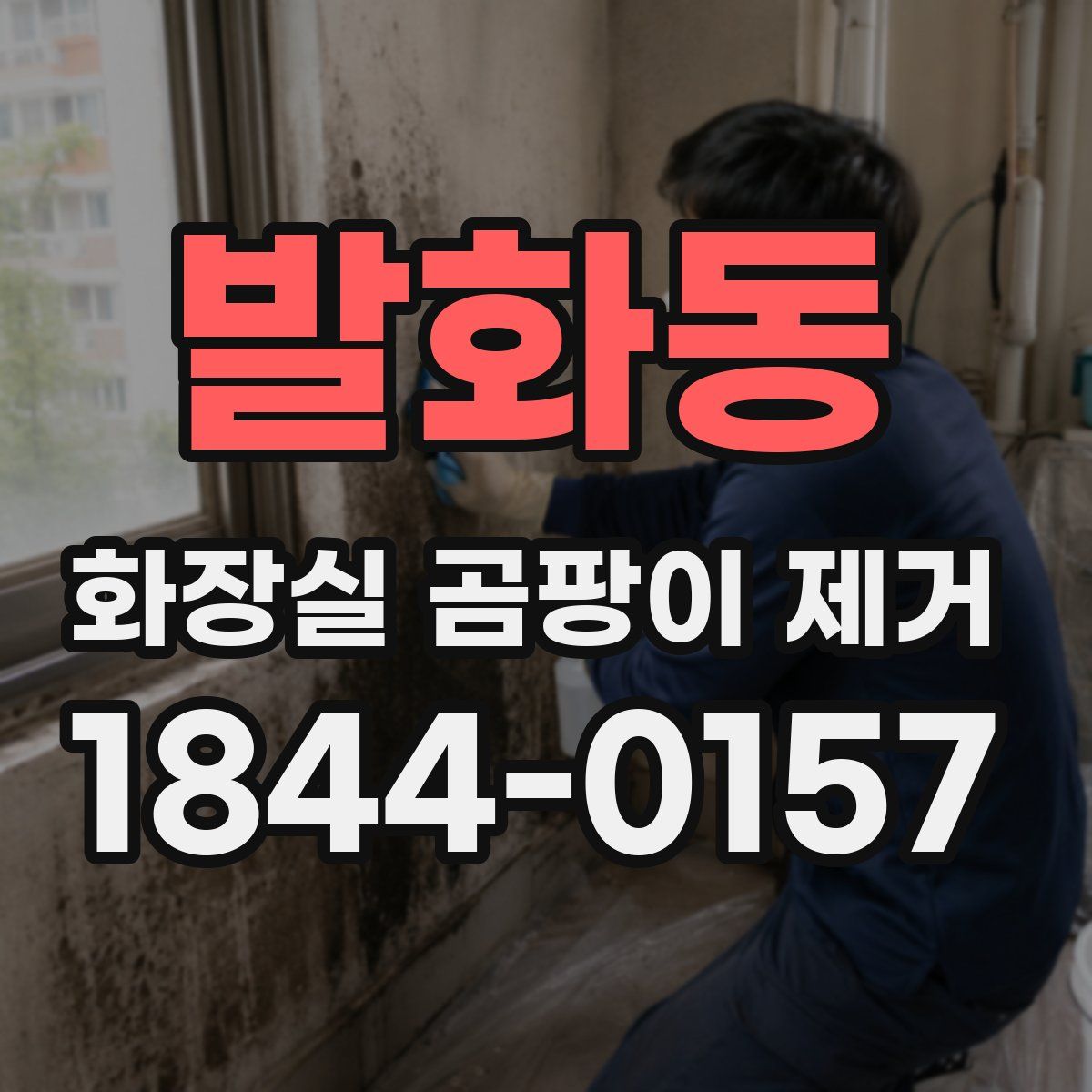 발화동 화장실 곰팡이 제거