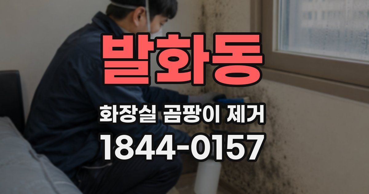 발화동 화장실 곰팡이 제거