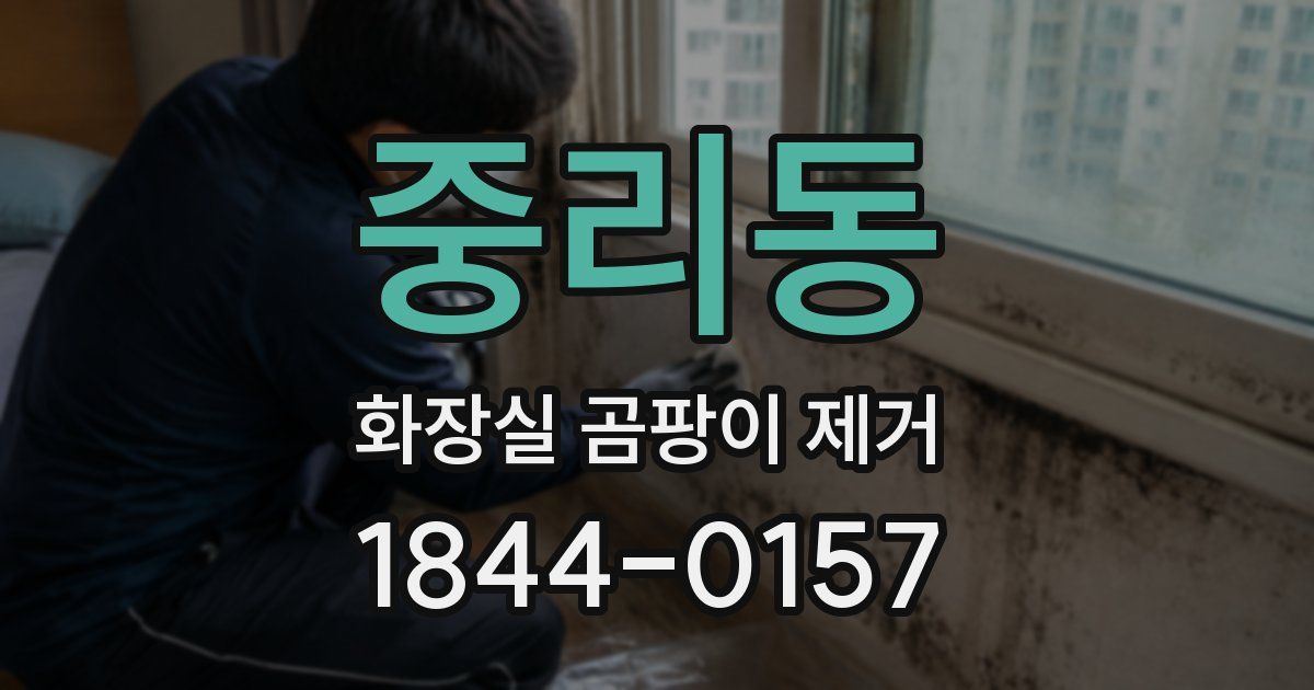 중리동 화장실 곰팡이 제거