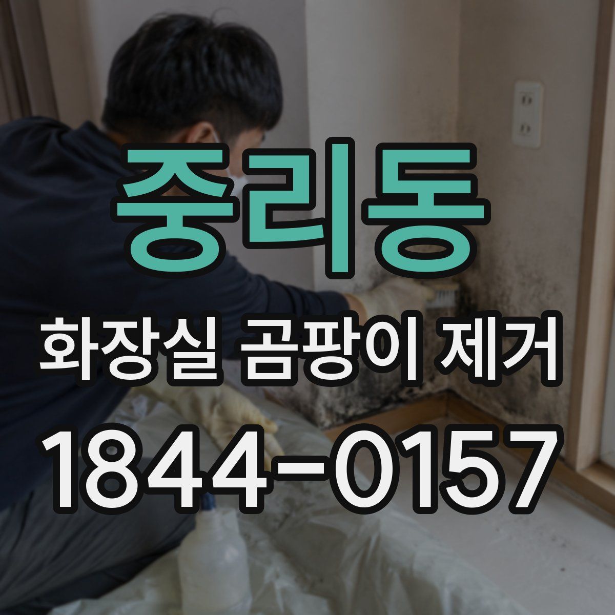 중리동 화장실 곰팡이 제거