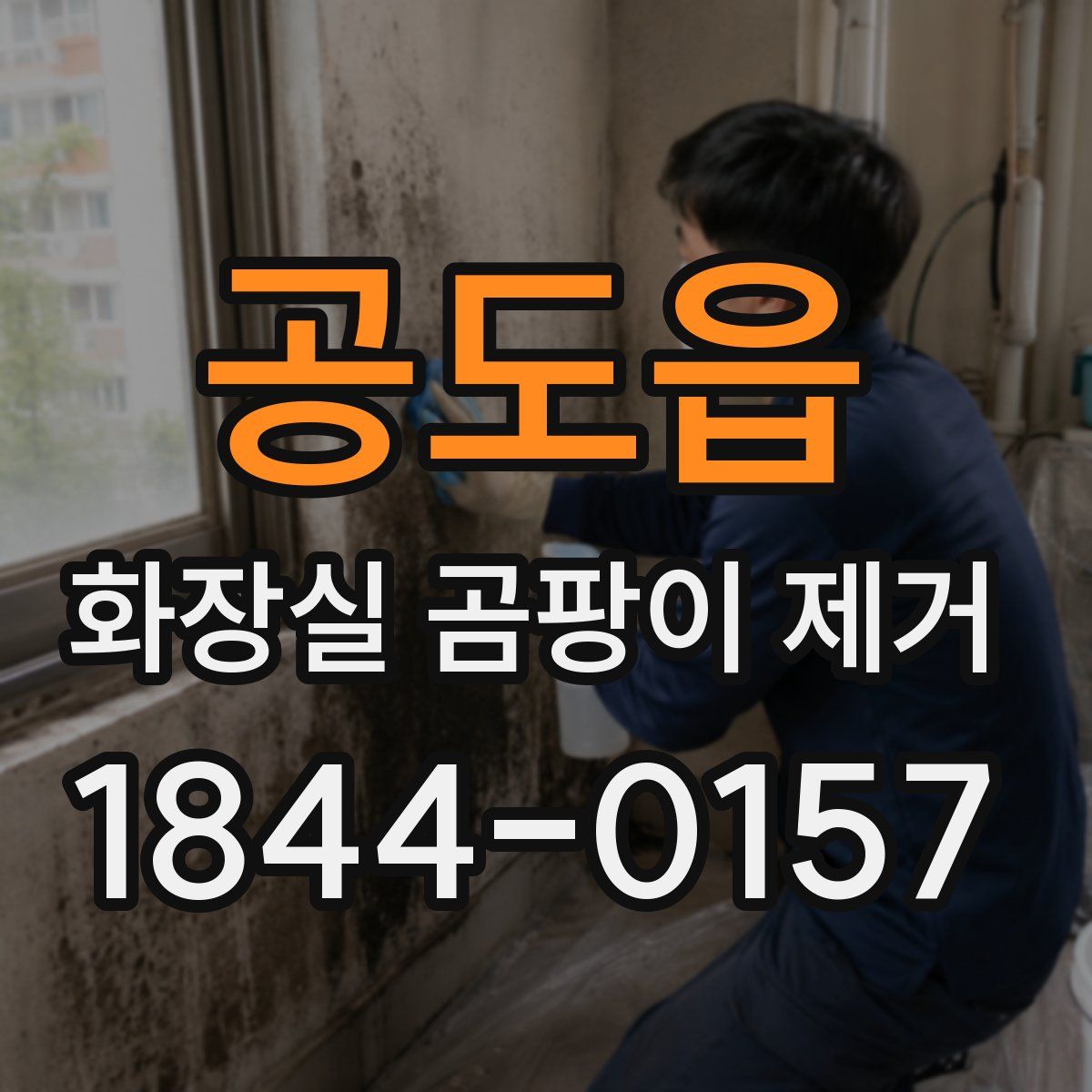 공도읍 화장실 곰팡이 제거