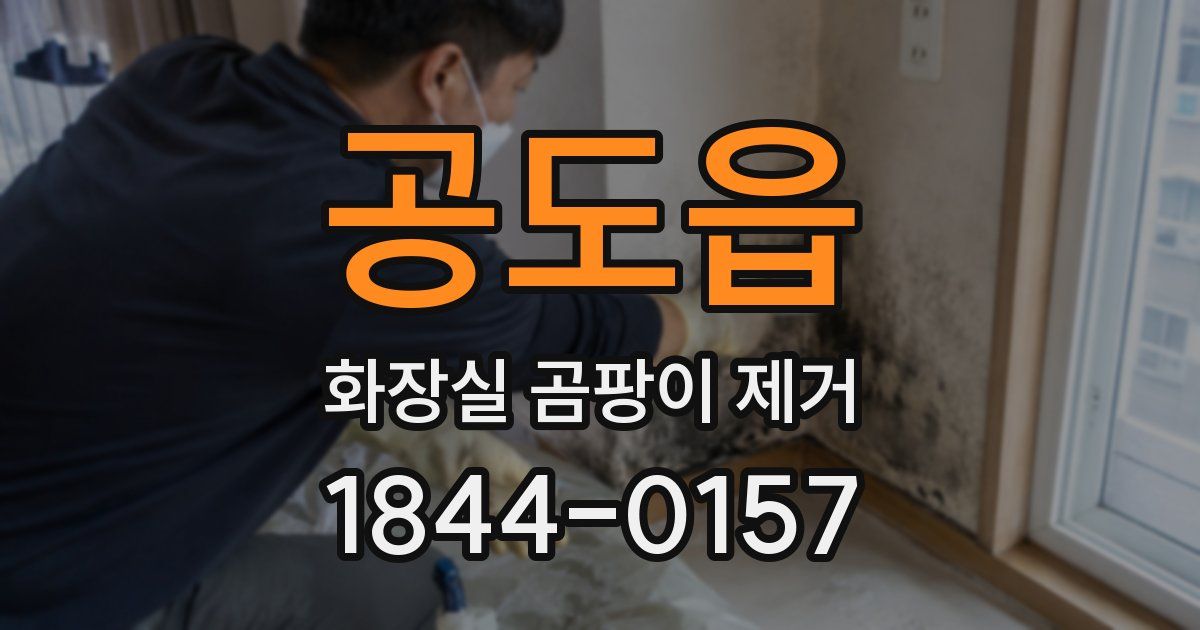 공도읍 화장실 곰팡이 제거
