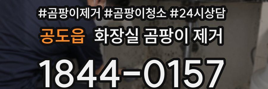 공도읍 화장실 곰팡이 제거