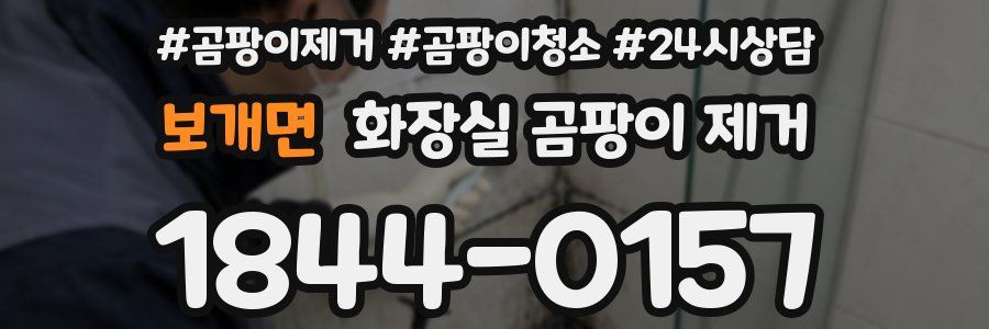 보개면 화장실 곰팡이 제거