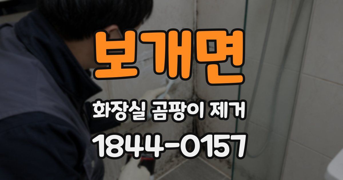 보개면 화장실 곰팡이 제거