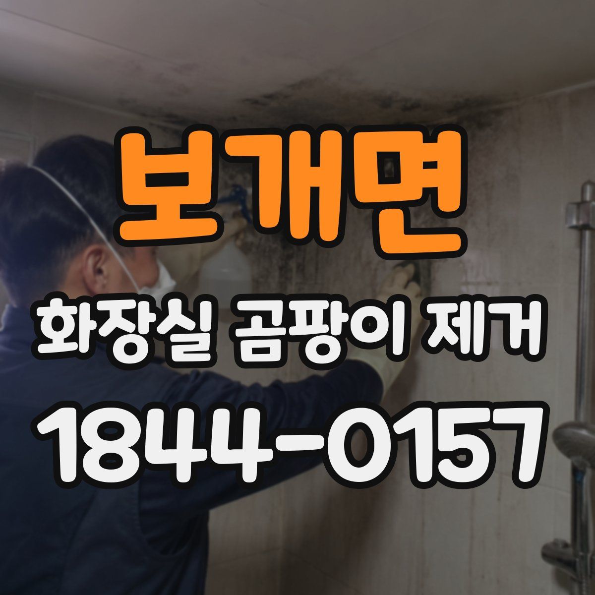 보개면 화장실 곰팡이 제거