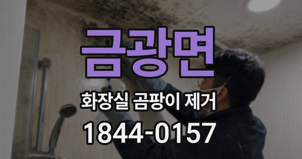 금광면 화장실 곰팡이 제거