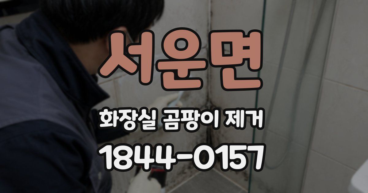 서운면 화장실 곰팡이 제거