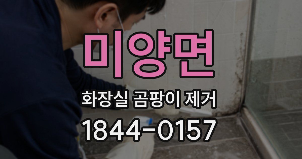 미양면 화장실 곰팡이 제거