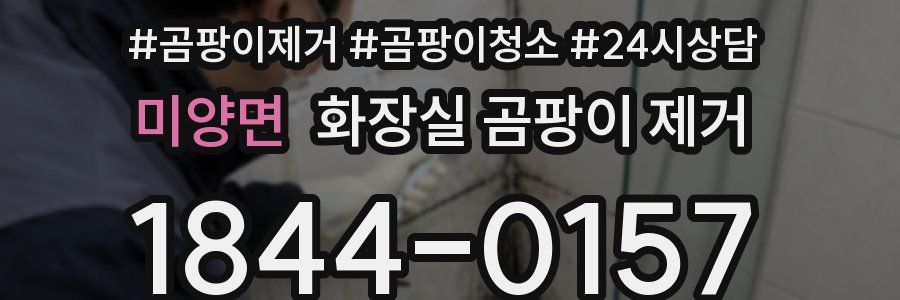 미양면 화장실 곰팡이 제거