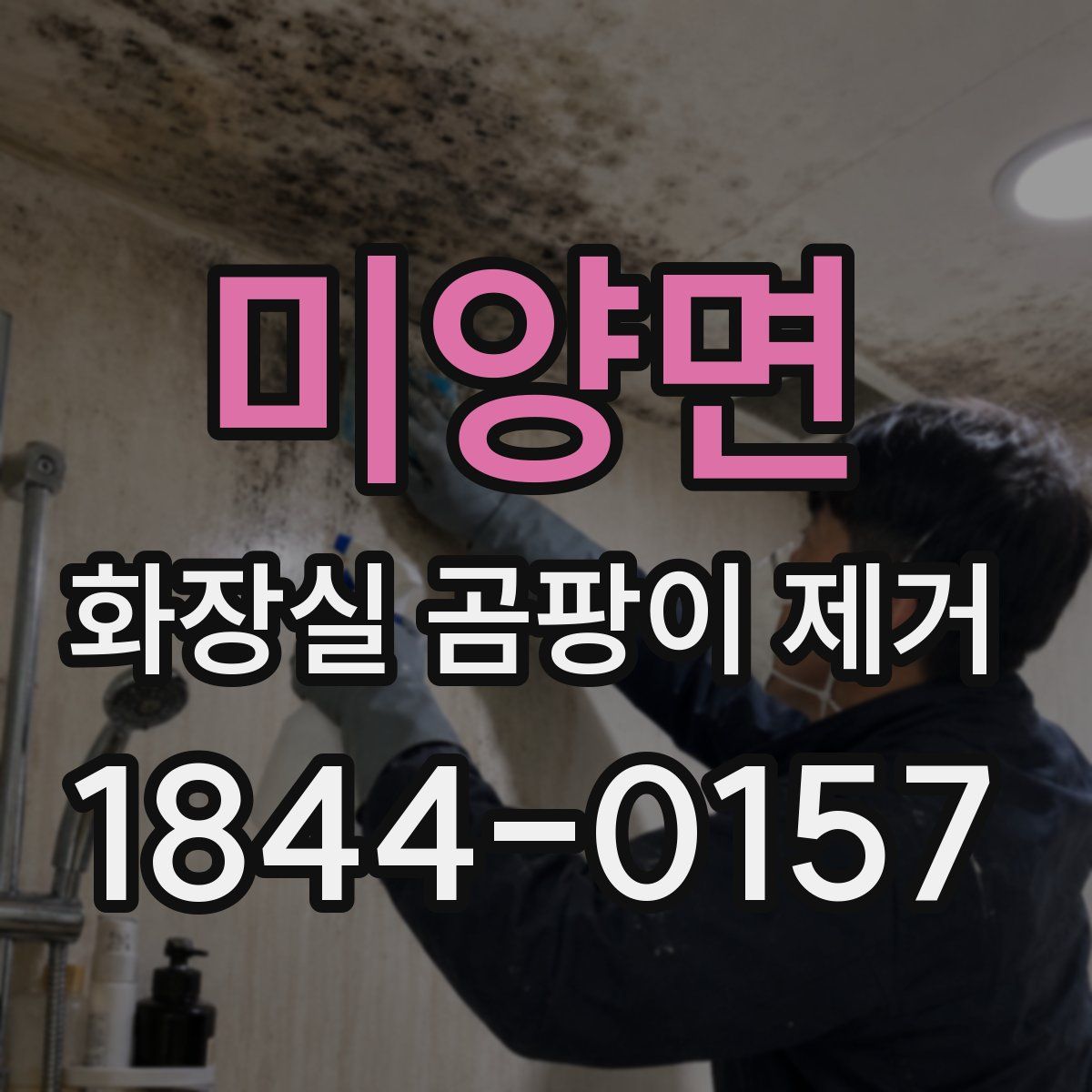 미양면 화장실 곰팡이 제거